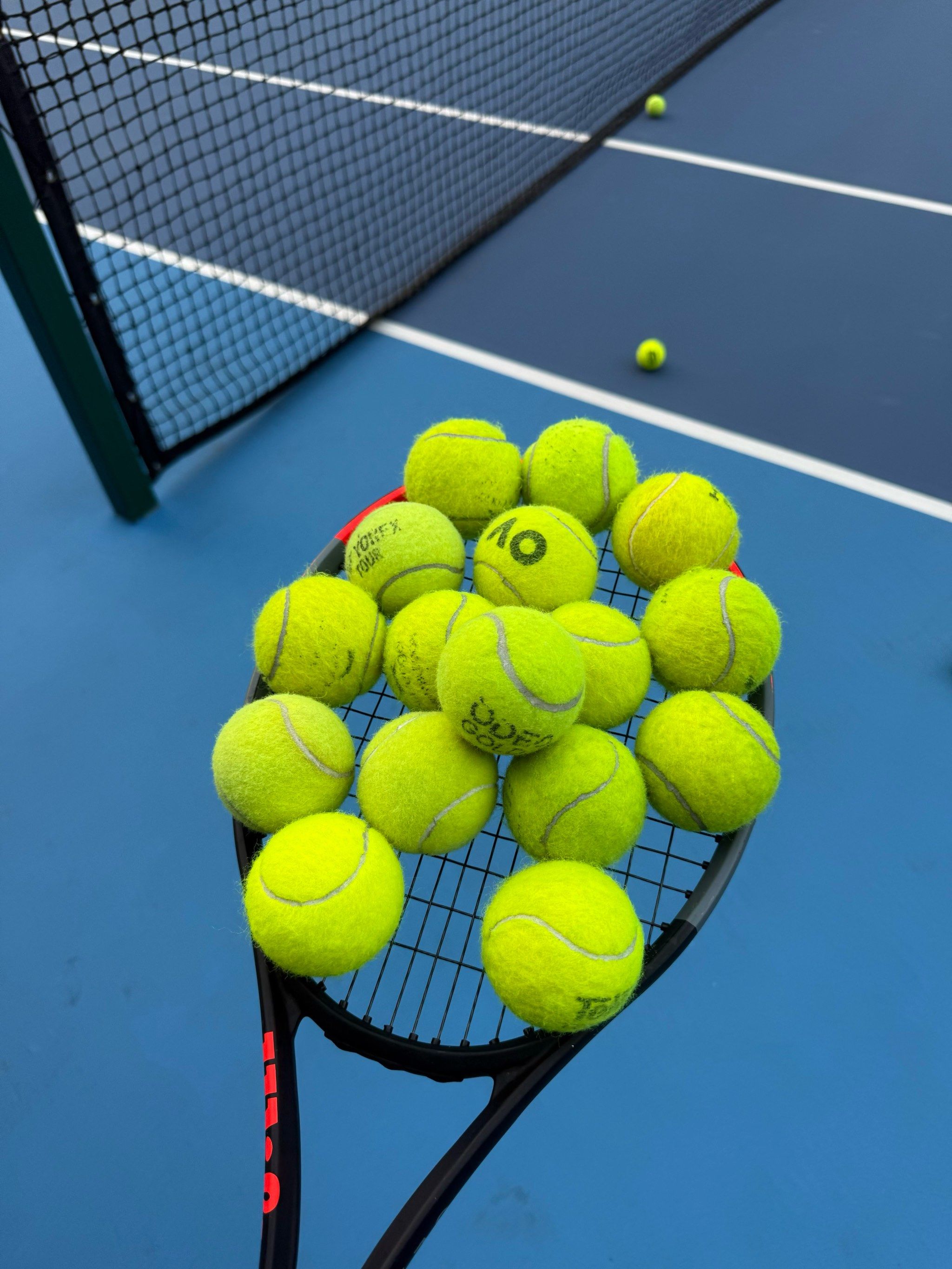 以其快速反 以其快速反